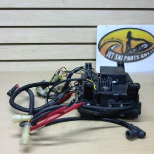 1995 Tigershark Montego OEM CDI Box Complete  3008-353