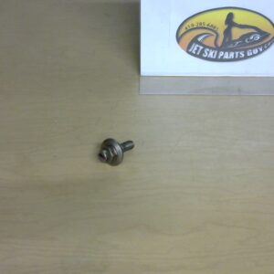 1994 Waverunner VXR OEM FLywheel Bolt  90109-10M47-00