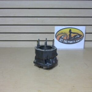 1999 Tigershark 1100LI OEM Nice Cylinder Jug 3008-587