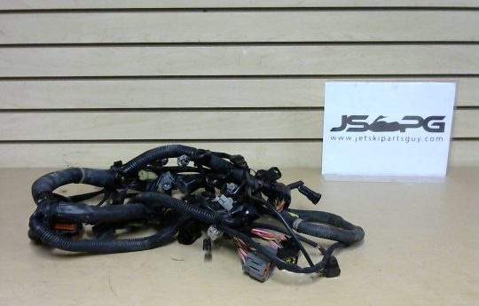 2005 Yamaha VX 110 Deluxe Main Wiring Harness Assembly 6D3-8259L-A1-00 6D3-8259L-A4-00